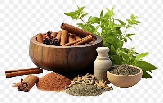Garva Ayurvedik Massage Center Pune