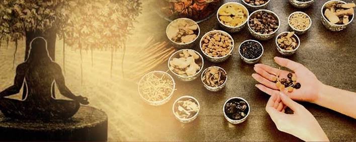 Ayurvedic Therapy Pune